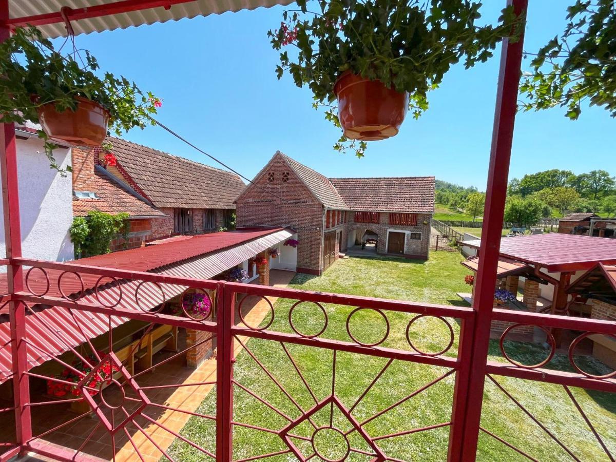 Salas 318 - B&B Farm Experience Brodski Drenovac Buitenkant foto