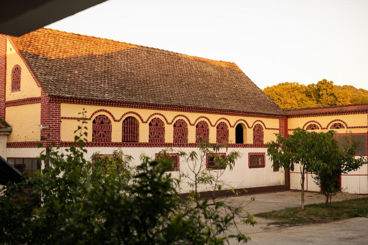 Salas 318 - B&B Farm Experience Brodski Drenovac Buitenkant foto