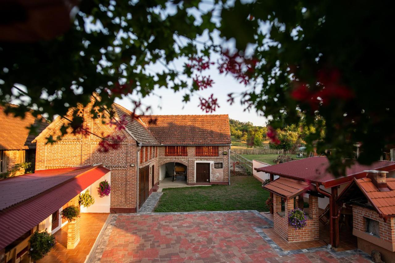 Salas 318 - B&B Farm Experience Brodski Drenovac Buitenkant foto