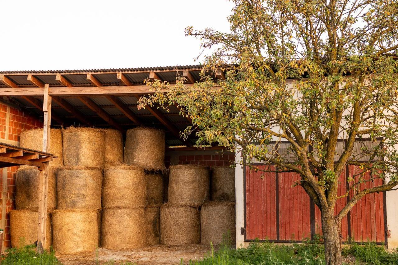 Salas 318 - B&B Farm Experience Brodski Drenovac Buitenkant foto